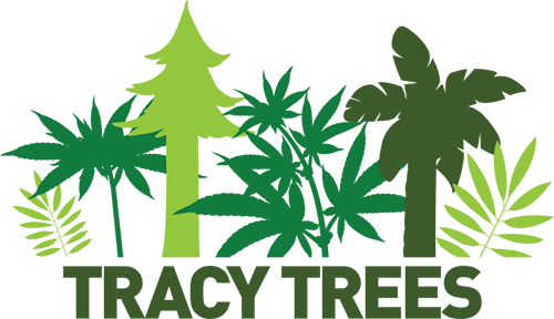 TracyTrees.com